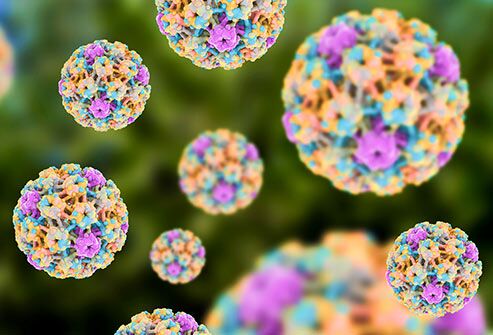Natural ways to treat hpv