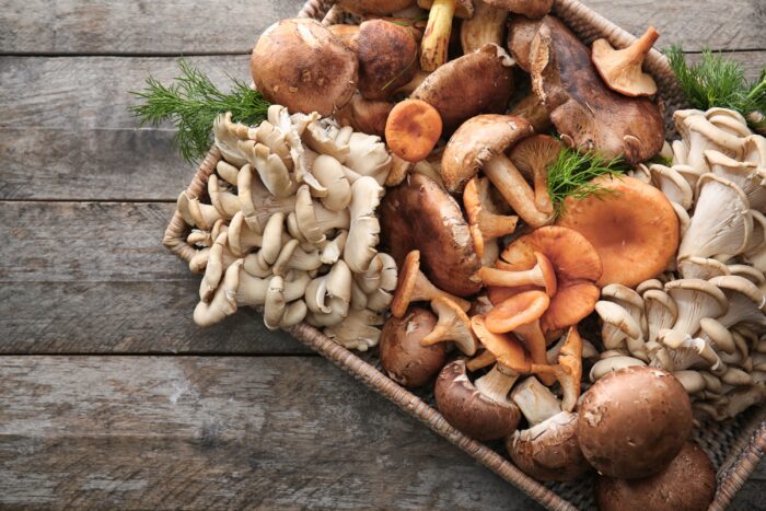 Various types of Mushrooms on a tray